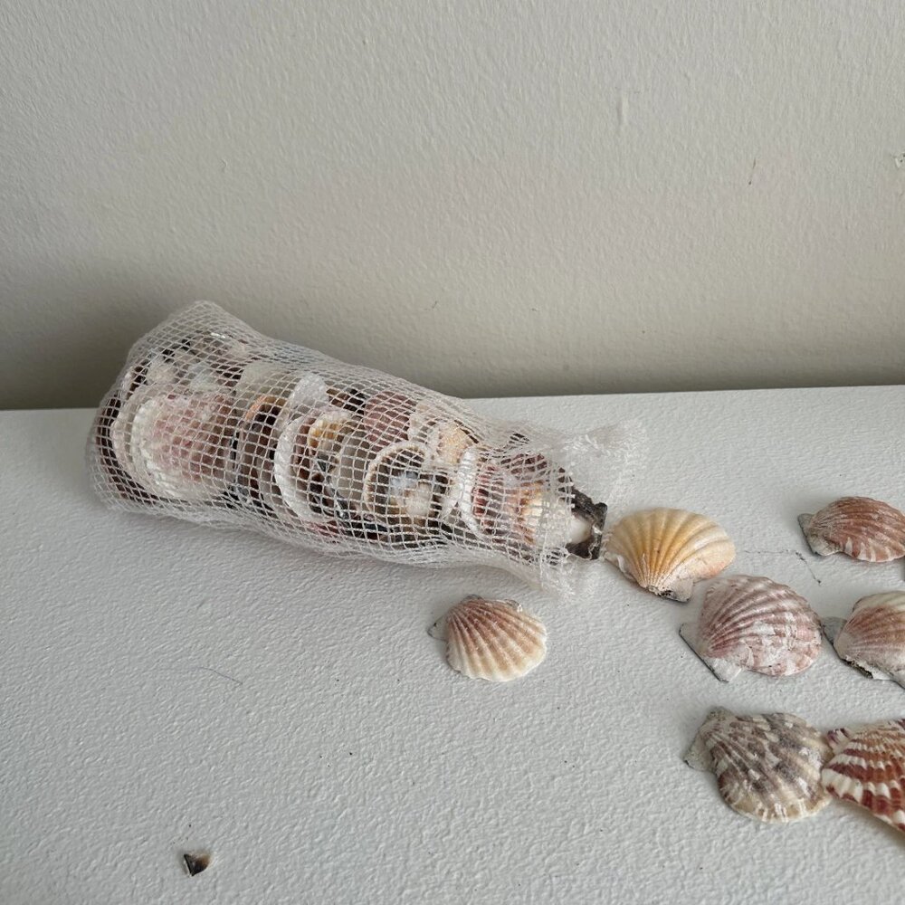 Lot of 53 Scallop Seashells Ocean Beach Decor Aquarium Craft Pink Brown White - Picture 3 of 4